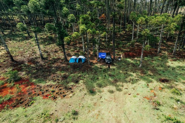 Découvrez les meilleures plongées sous-marines à marseille