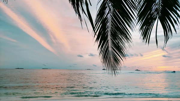 Guide ultime pour sélectionner la salle de réception idéale